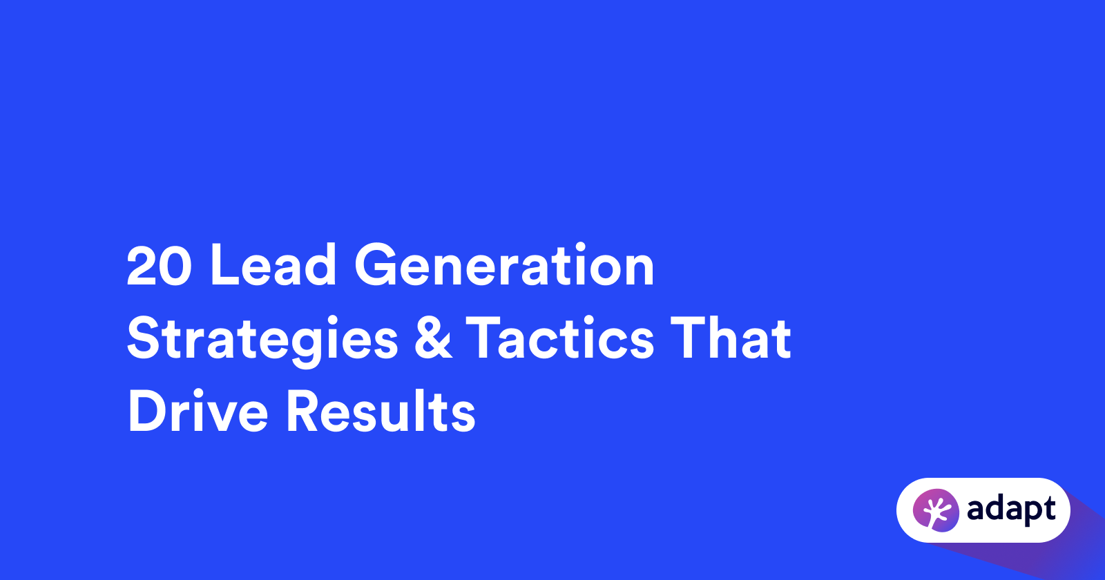 Strategies for Successful B2B Lead Generation in 2024