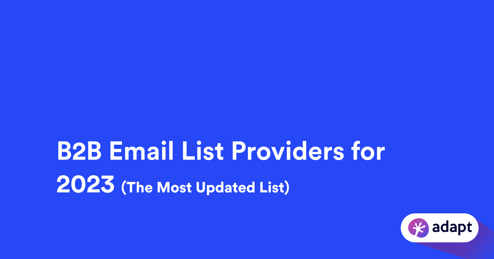 Choosing the Best B2B Email List Providers: Comprehensive Guide in 2024