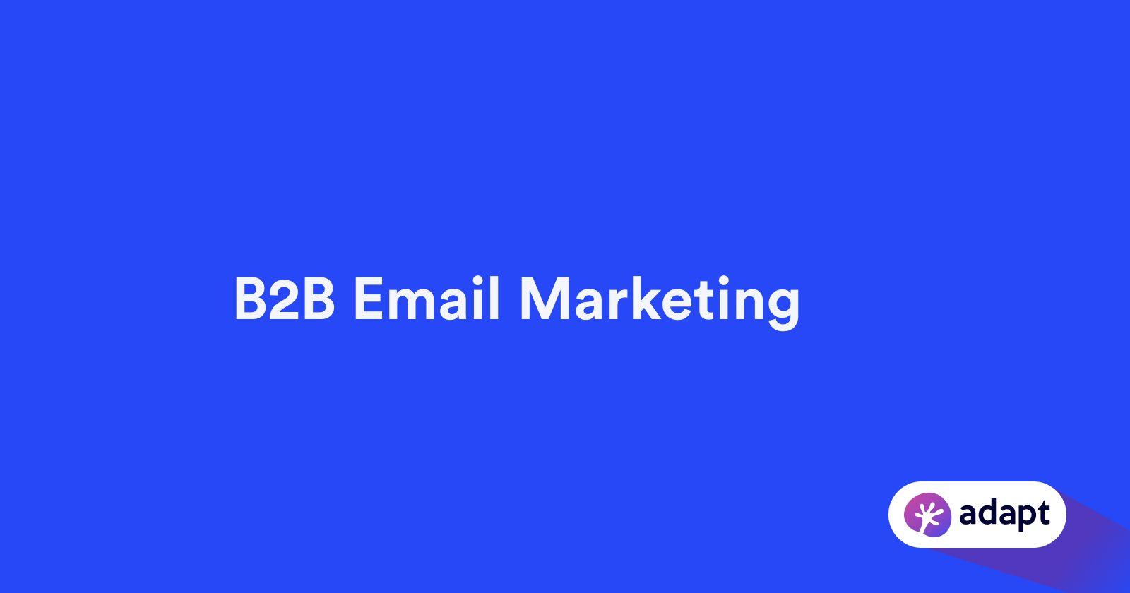 B2B Email Marketing [Complete Guide]