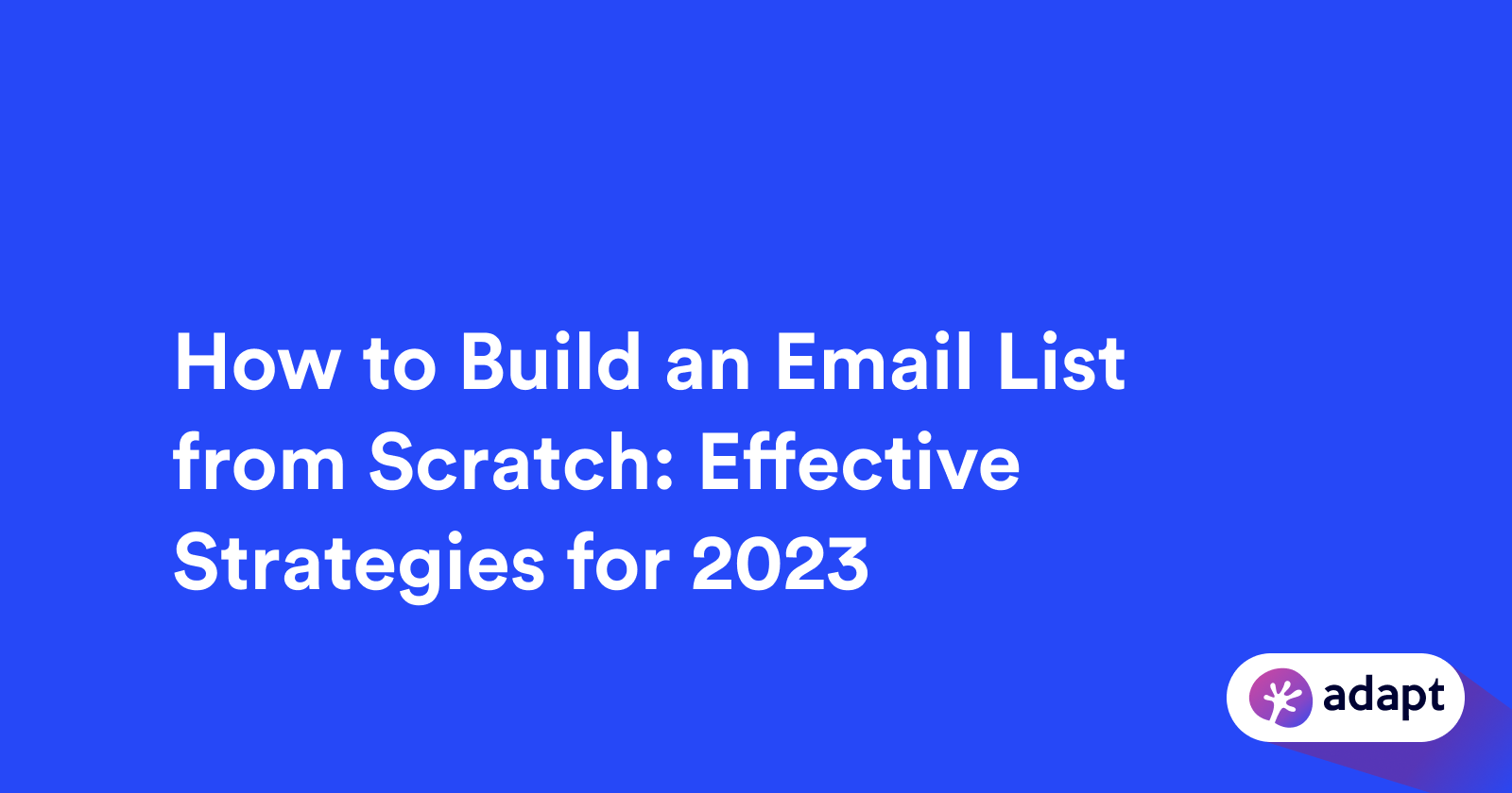 How to Build an Email List from Scratch: Effective Strategies for 2024