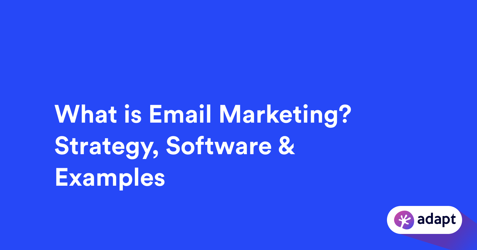 What is Email Marketing? Strategy, Software & Examples for 2024