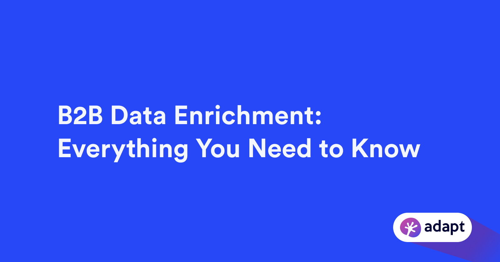 B2B Data Enrichment: Strategies for Enhanced Business Insights