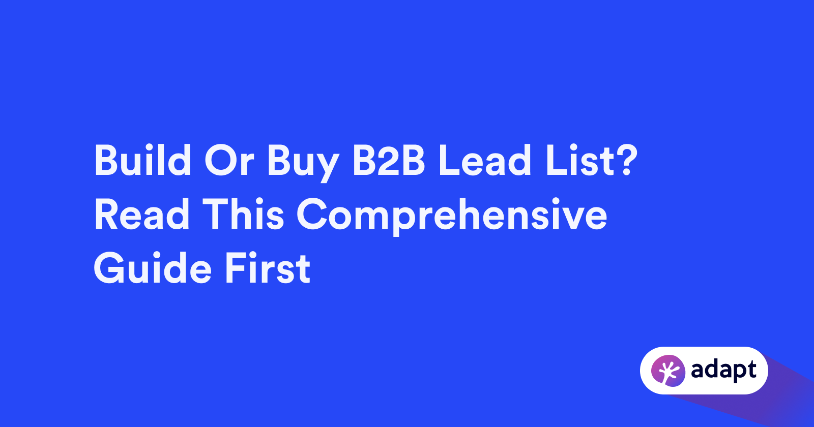 B2B Lead Lists Guide: Build or Buy for Success