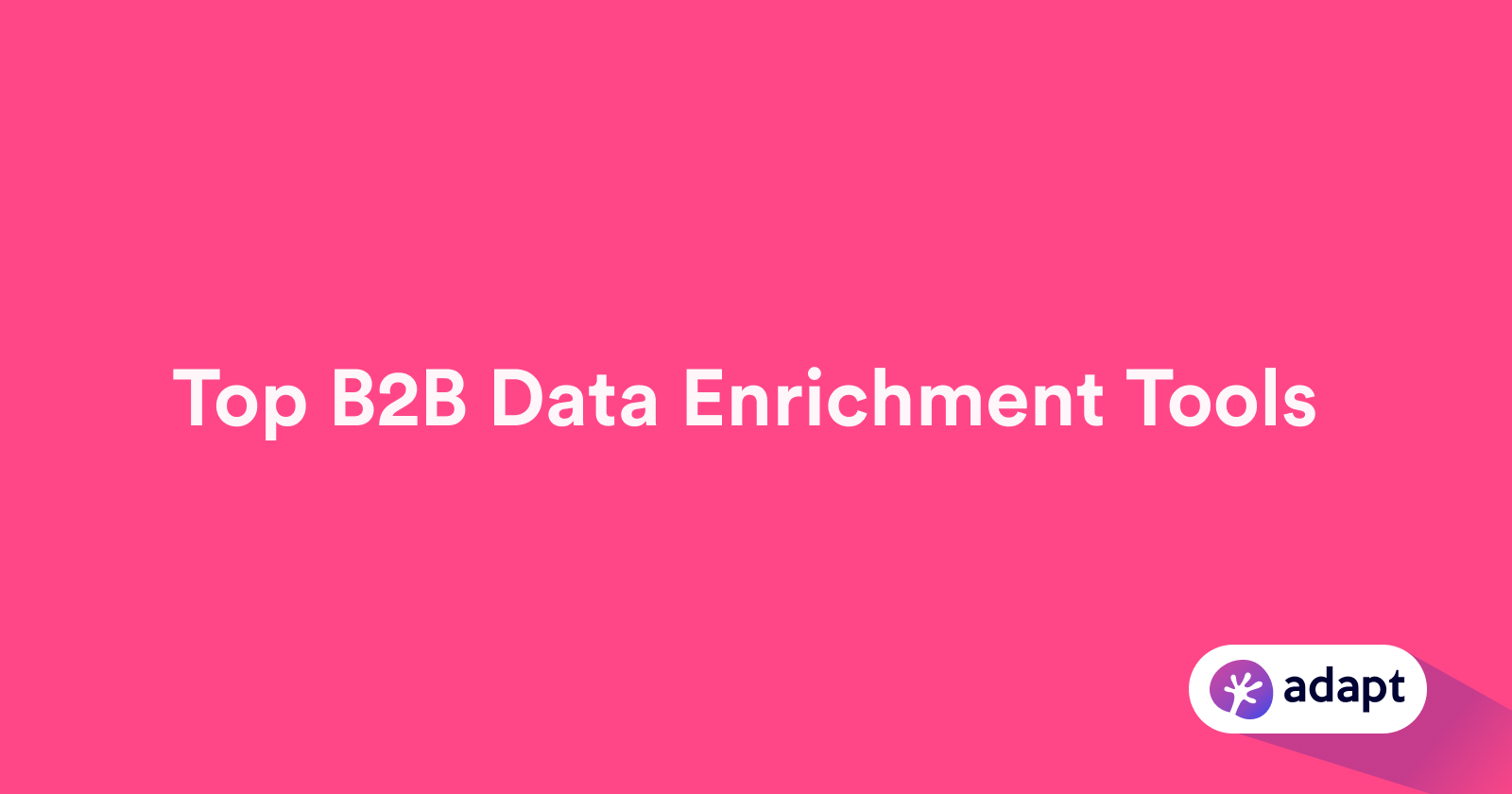 9 B2B Data Enrichment Tools to Enhance Business Intelligence in 2024