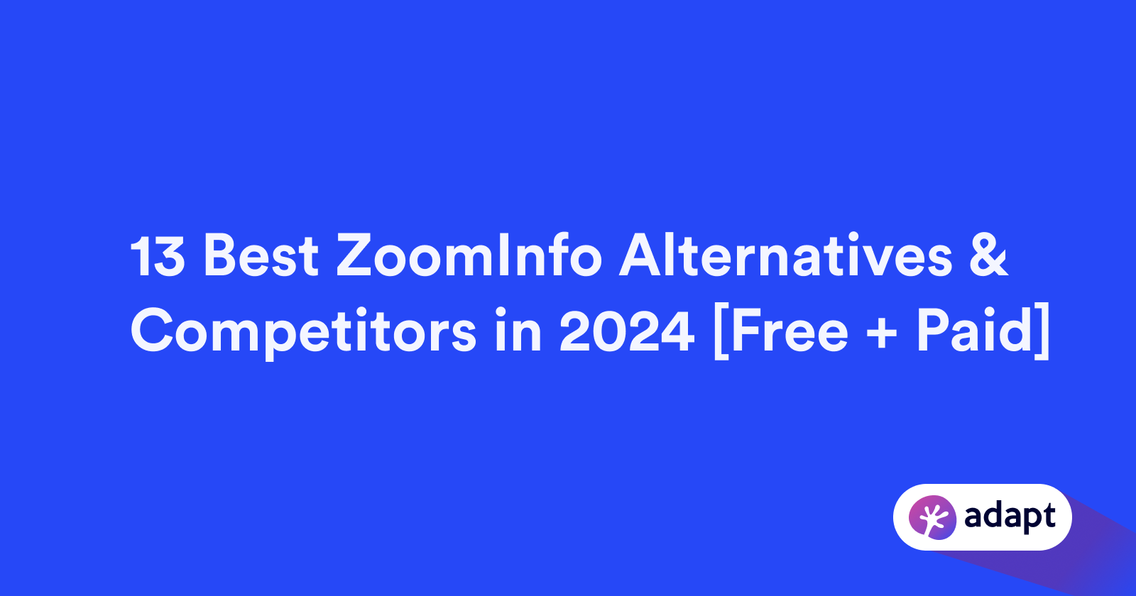 13 Best ZoomInfo Alternatives & Competitors in 2024 [Free + Paid]