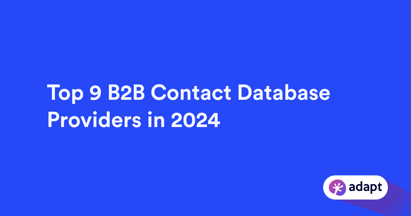 Top 9 B2B Contact Database Providers in 2024